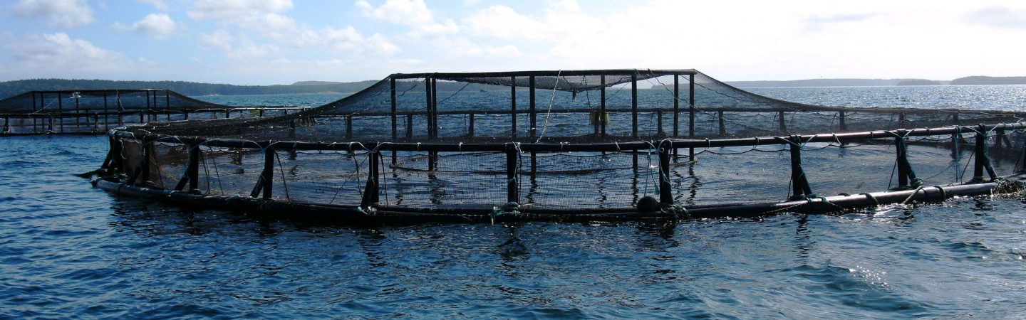 Investment Guide for Sustainable Aquaculture - IDH - the