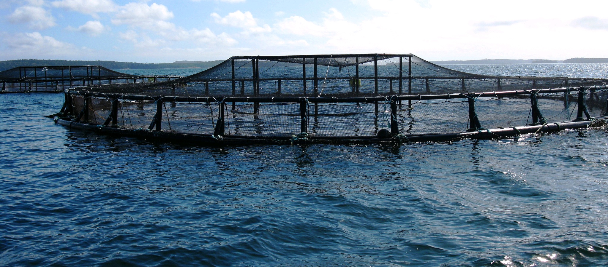 Investment Guide for Sustainable Aquaculture - IDH - the Sustainable Trade  Initiative