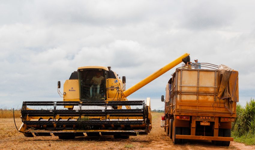 Mato Grosso soy farming
