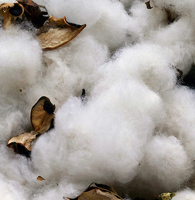 Cotton - IDH - the Sustainable Trade Initiative
