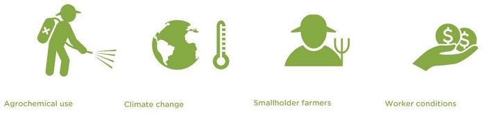 F&I Focus green site