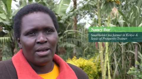 Seeds of Prosperity – Improving workers’ diets and hygiene practices