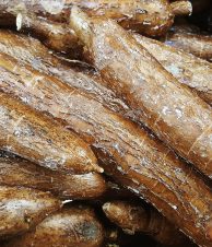 cassava