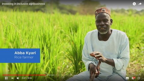 Investing in inclusive agribusiness_2