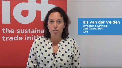 Iris van der Velden