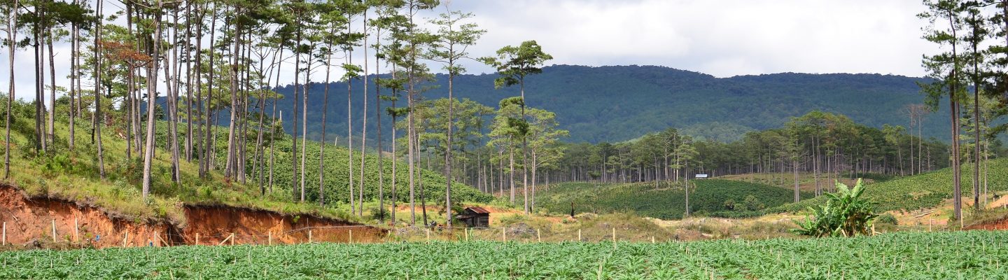 Landscape approaches in Central Highlands, Vietnam