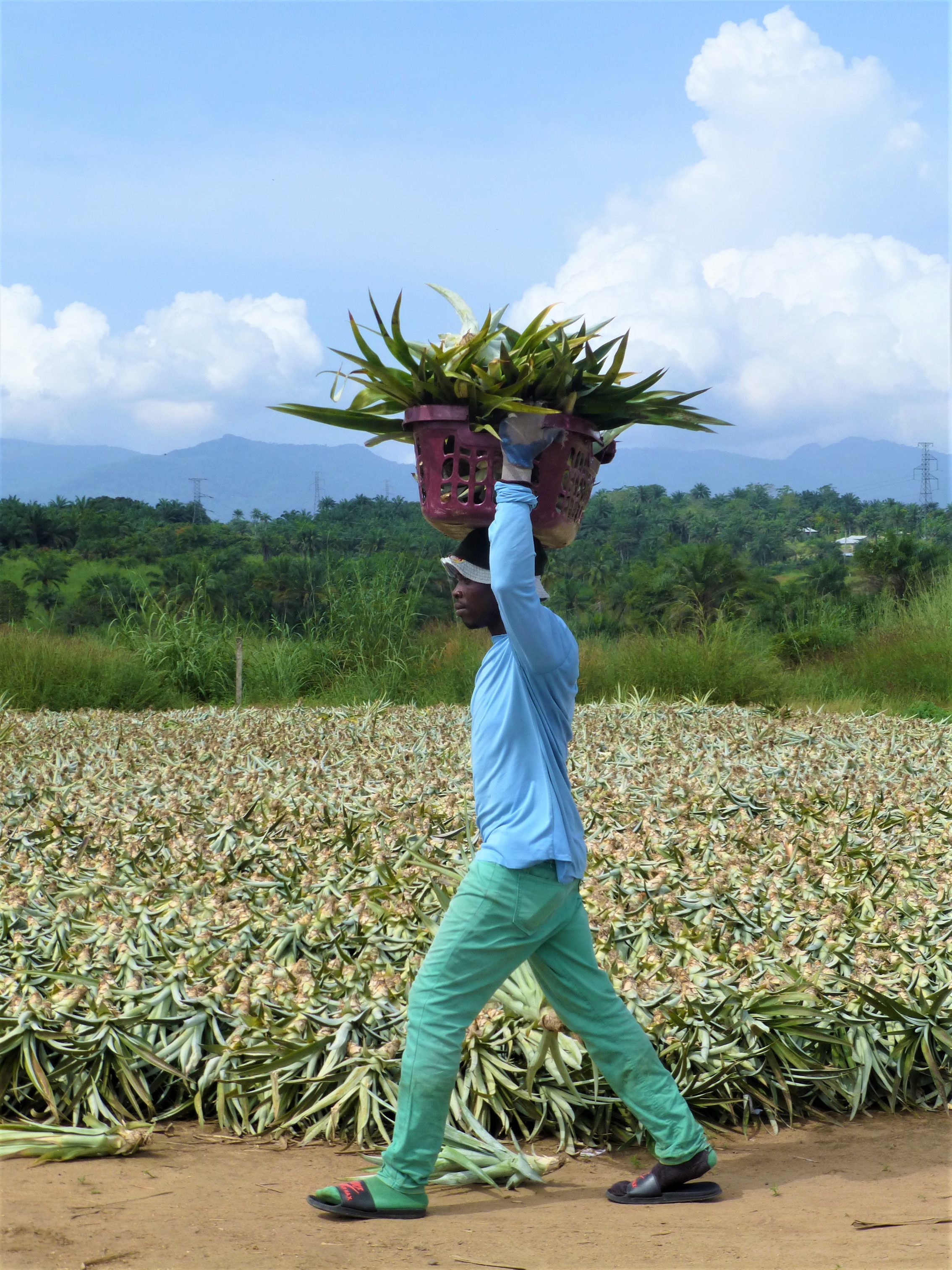 Juice worth the squeeze IDH the Sustainable Trade Initiative