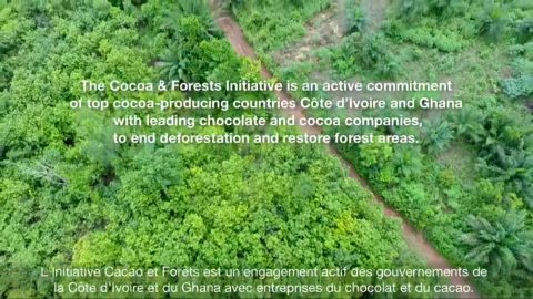ivory coast video