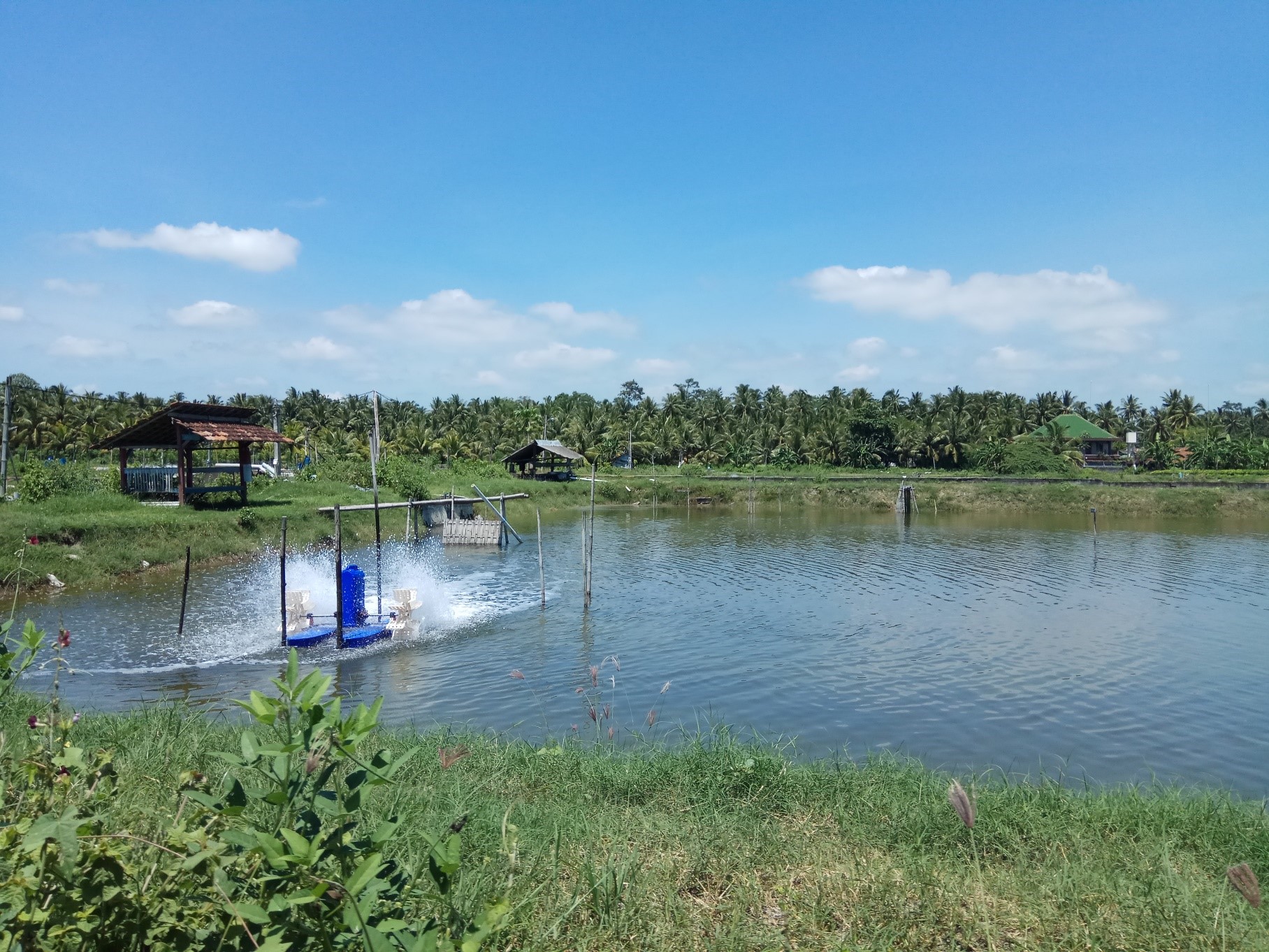 Aquaculture Program in Indonesia IDH the sustainable
