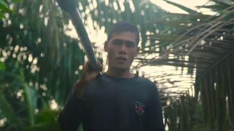 Leuser VSA video