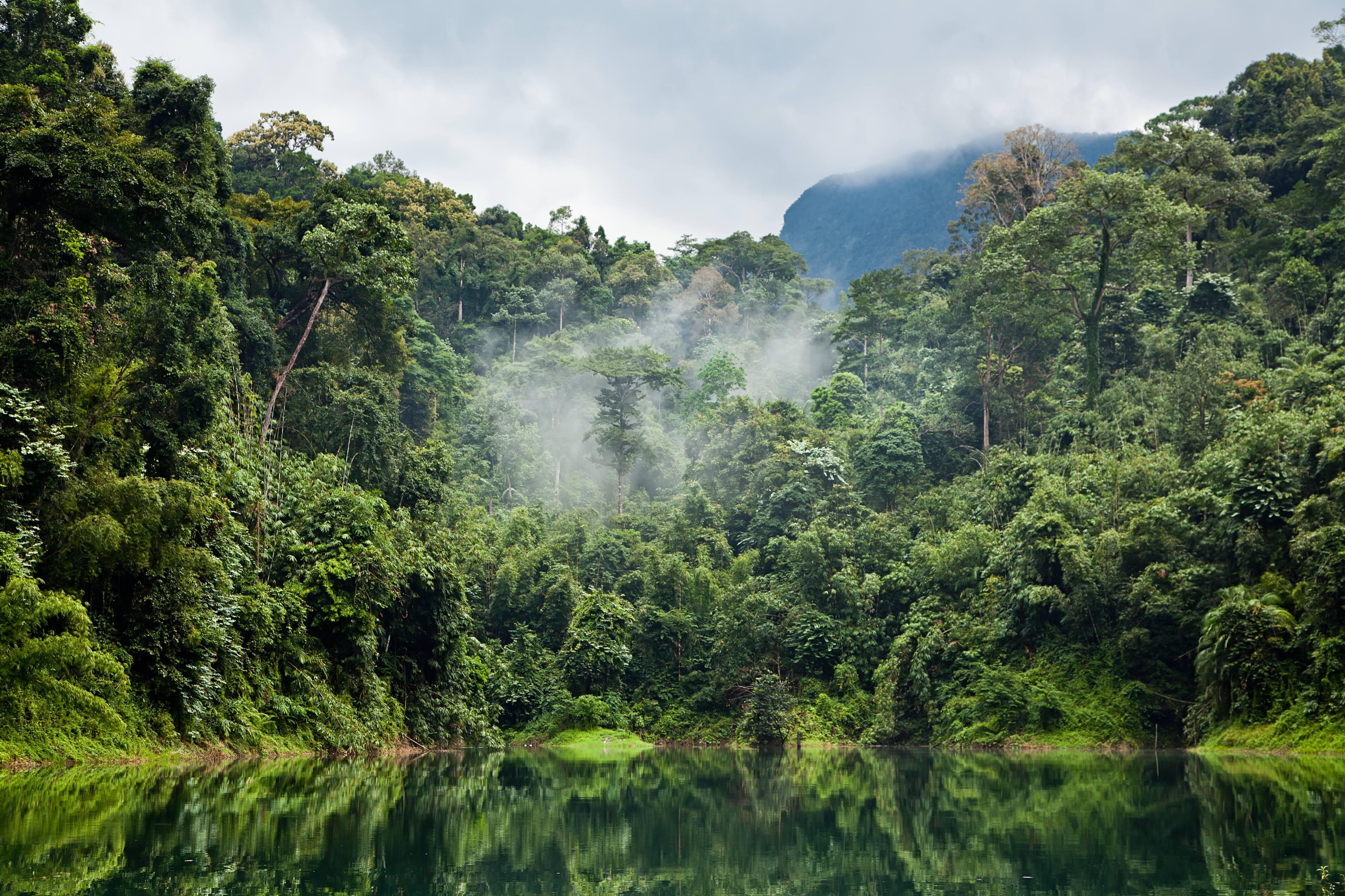 Tackling tropical deforestation - IDH - the sustainable trade initiative.