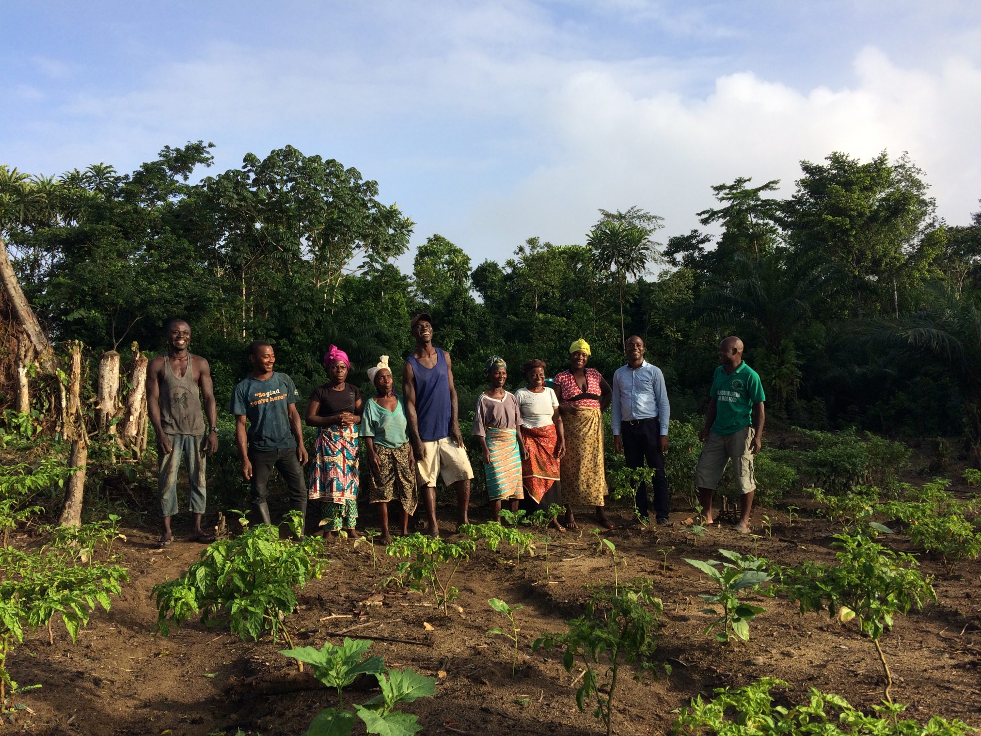 Farmer field school in Sinoe