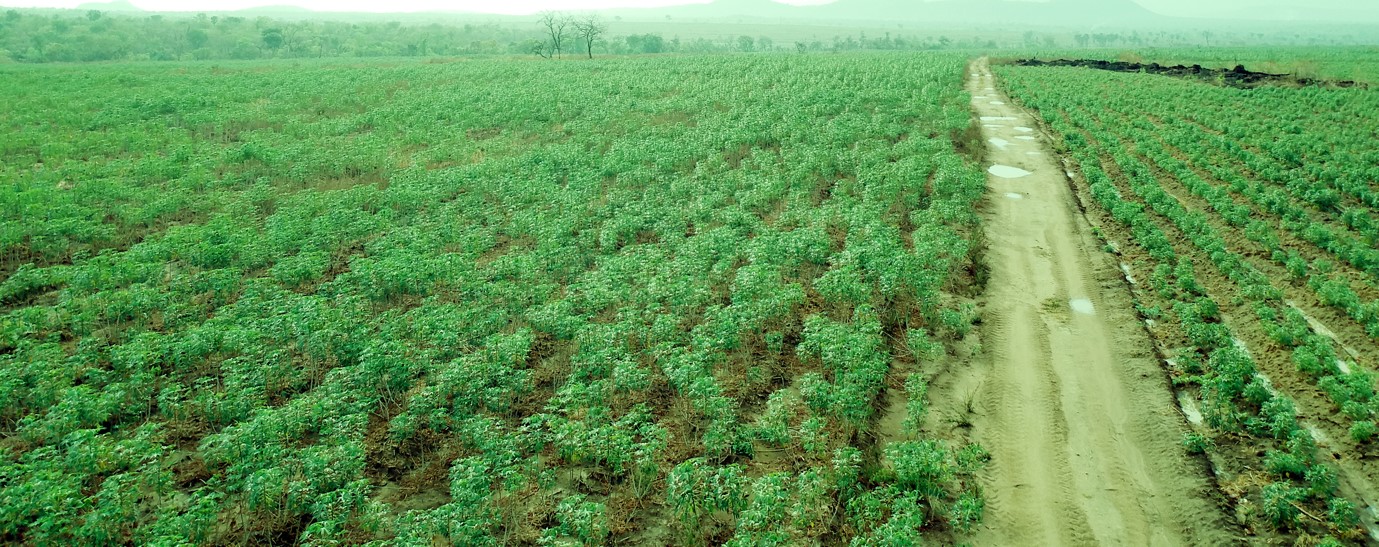 Block Farming Model IDH the sustainable trade initiative