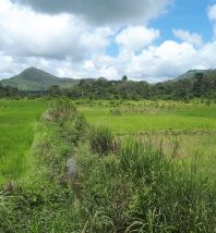 Foya district Liberia