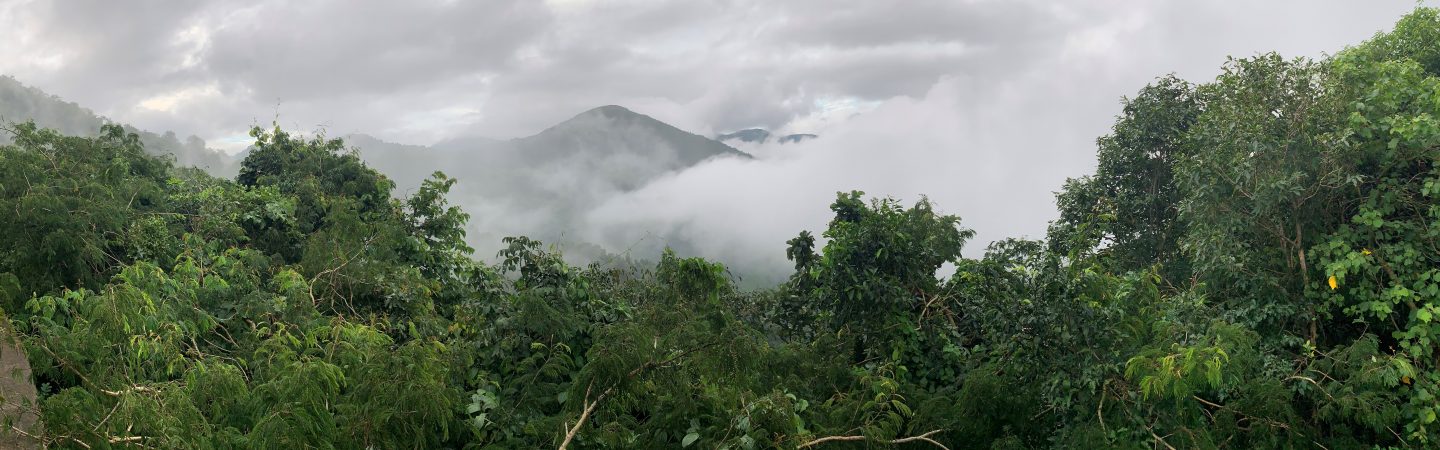 Mountains and forest in Andhra Pradesh, India