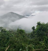 Mountains and forest in Andhra Pradesh, India