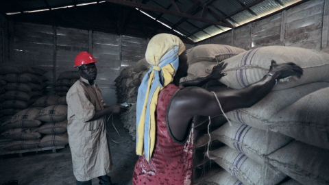 Traceability Ghana