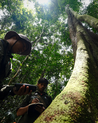 West Kalimantan landscape approach forest monitoring