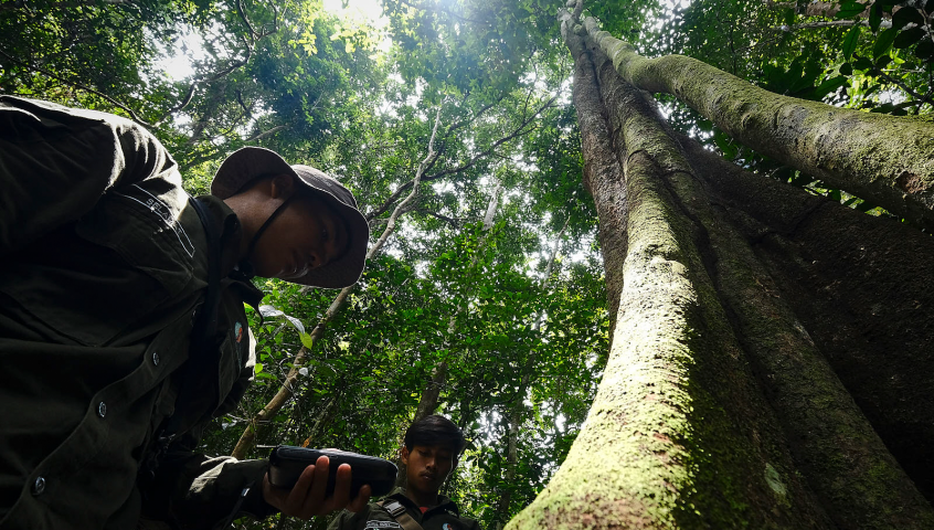 West Kalimantan landscape approach forest monitoring