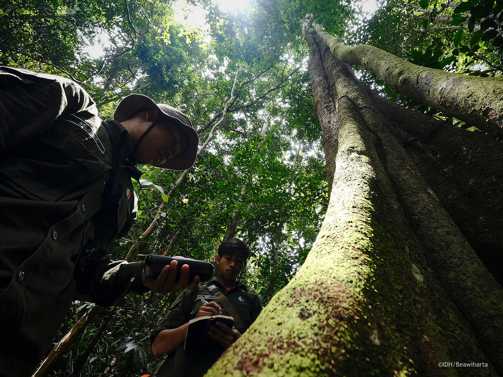 West Kalimantan landscape approach forest monitoring