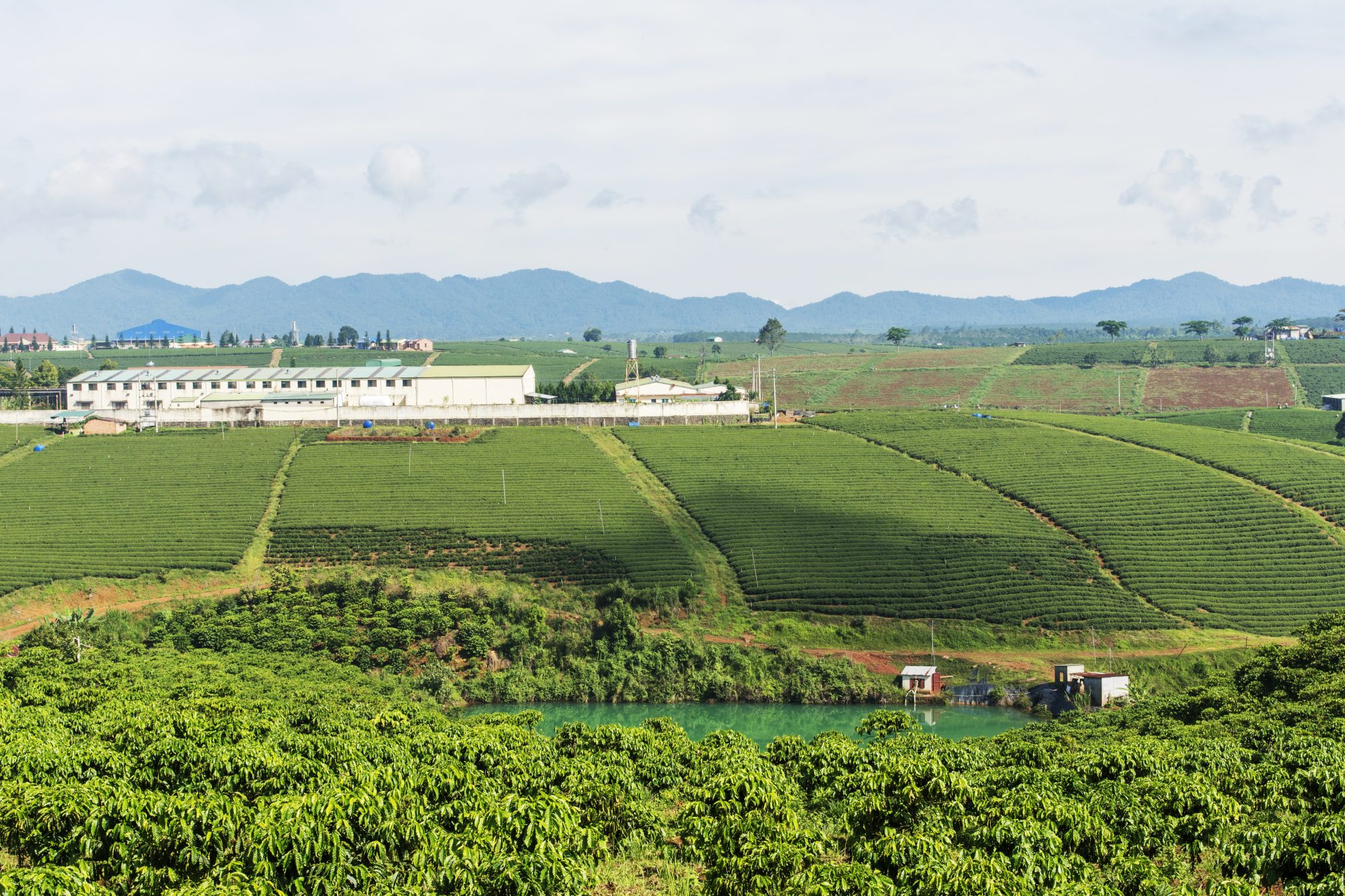 Sustainable coffee sourcing area in Lam Dong SourceUp Compact Vietnam