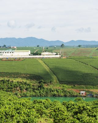 Sustainable coffee sourcing area in Lam Dong SourceUp Compact Vietnam