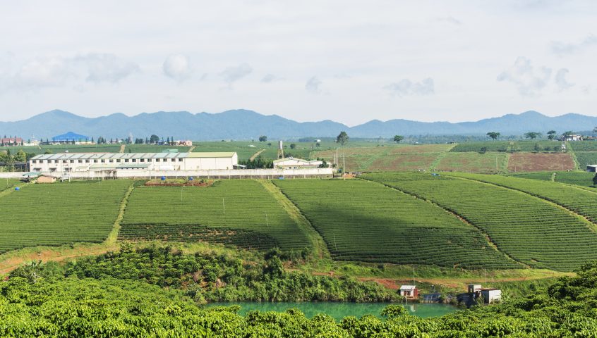 Sustainable coffee sourcing area in Lam Dong SourceUp Compact Vietnam