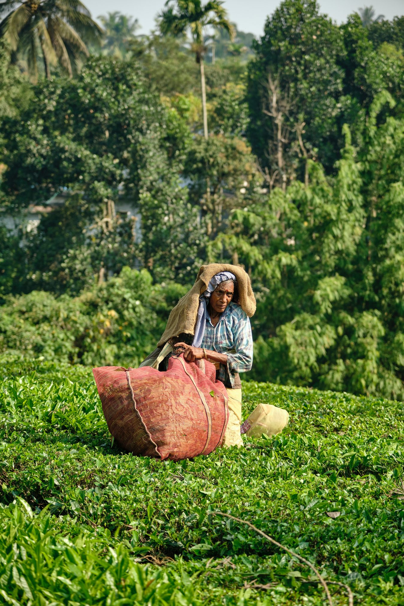 Women's accelerator fund