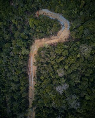 Deforestation in Aceh, Indonesia