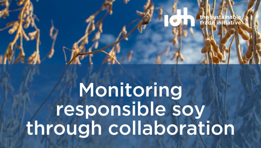Monitoring responsible soy through collaboration