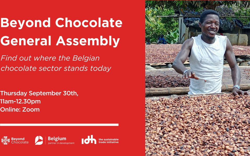 New study on cocoa traceability makes towards more