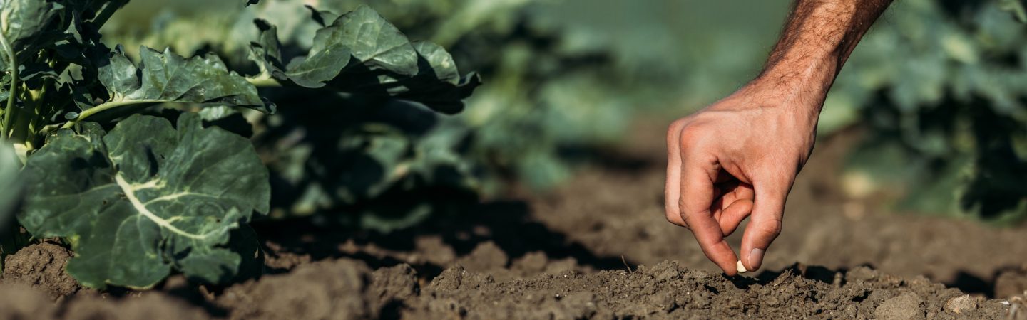 IDH – The Sustainable Trade Initiative and Fairtrade sign global partnership for fair economic conditions