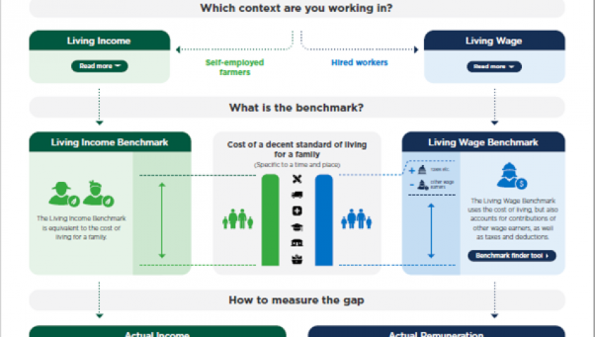 Addressing living income and living wages infographic