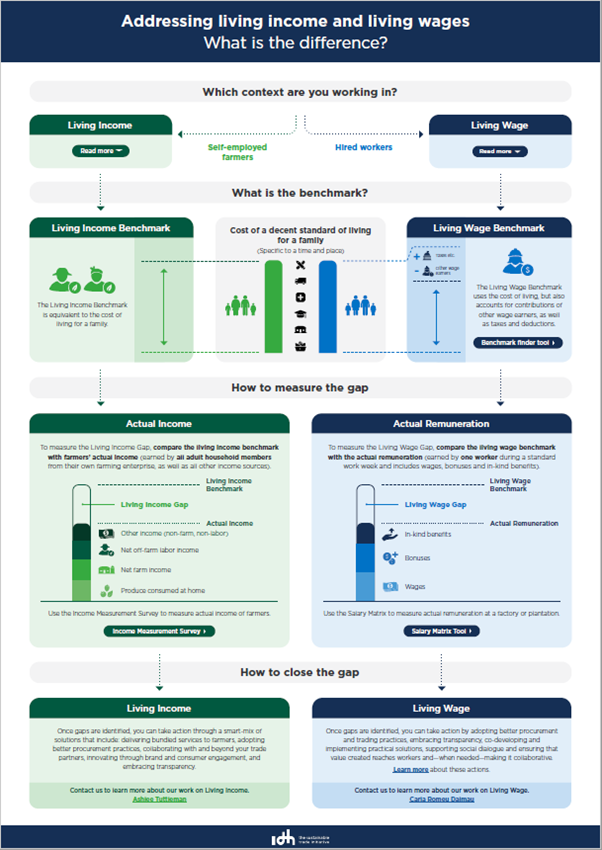 Addressing living income and living wages infographic