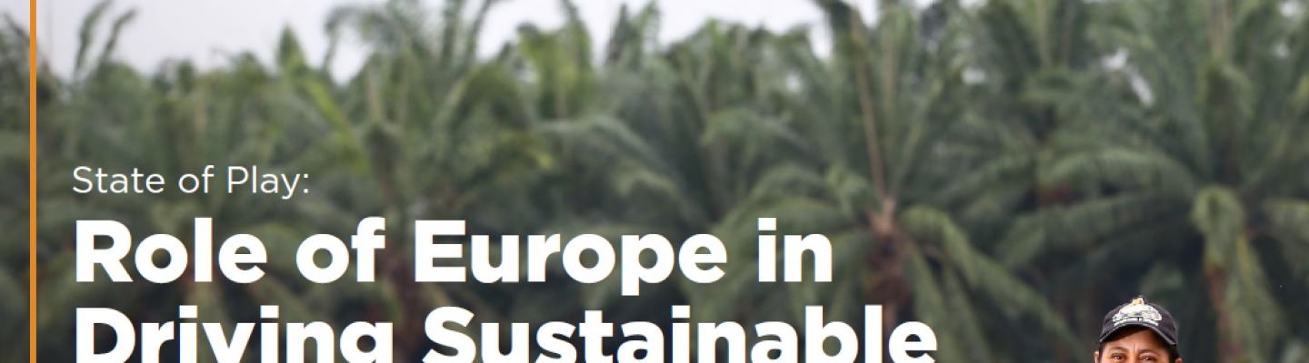 the State of play: Role of Europe in Driving Sustainable Palm Oil