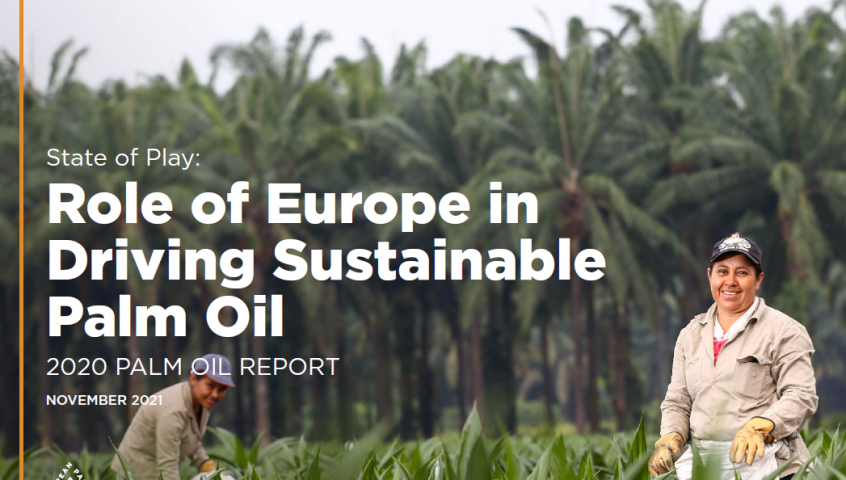 the State of play: Role of Europe in Driving Sustainable Palm Oil