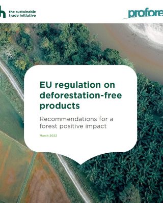 EU regulation on deforestation-free products