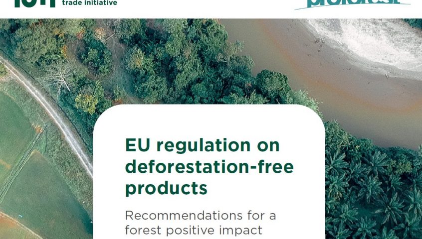 EU regulation on deforestation-free products