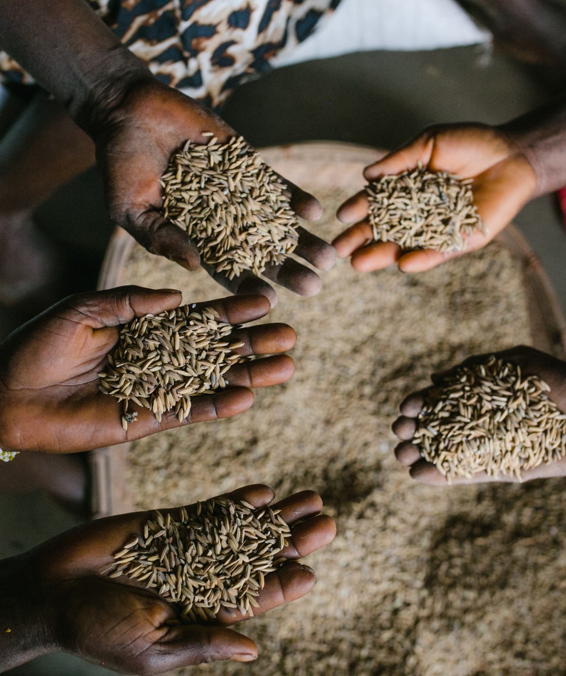 The Mastercard Foundation and IDH partner to strengthen Ghana’s grain