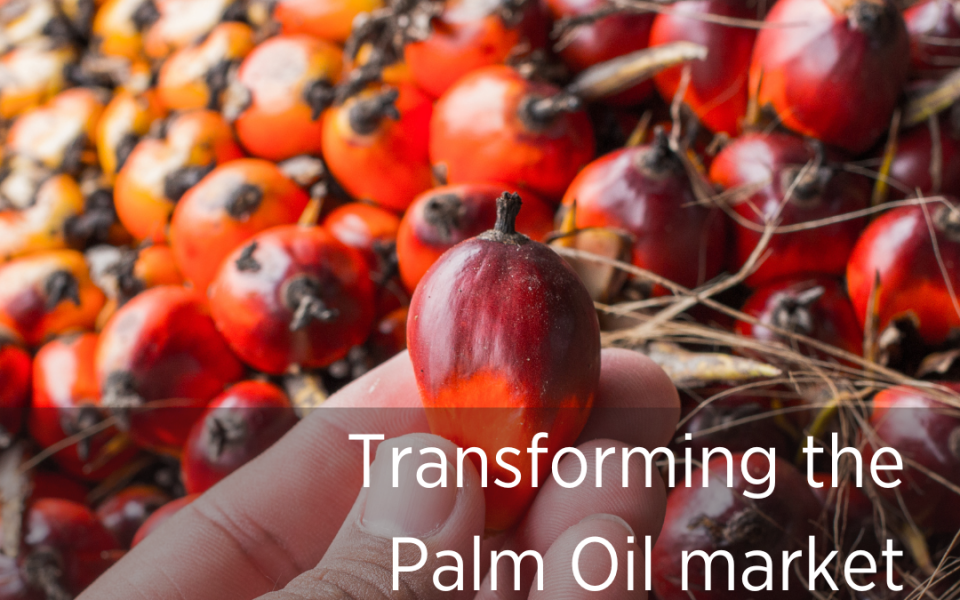 Palm oil IDH the Sustainable Trade Initiative