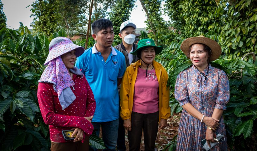 A women-led pepper & coffee intercropped farm