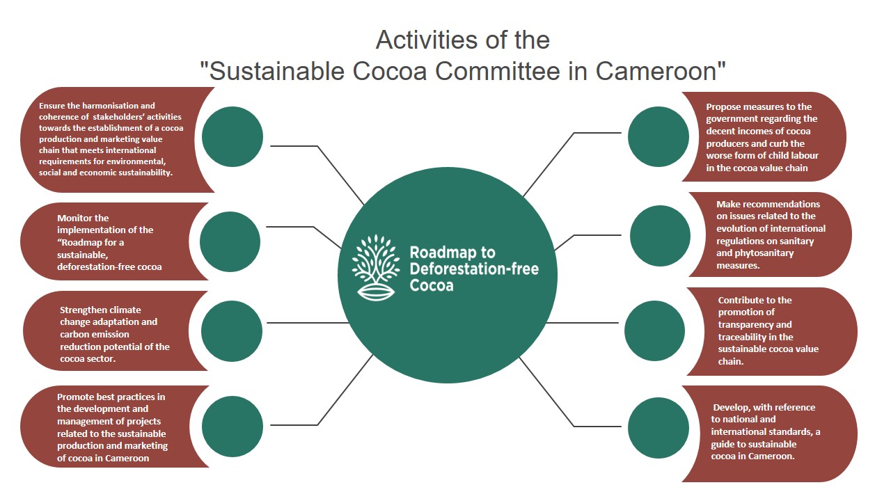Activities of the Sustainable-Cocoa Committee Cameroon