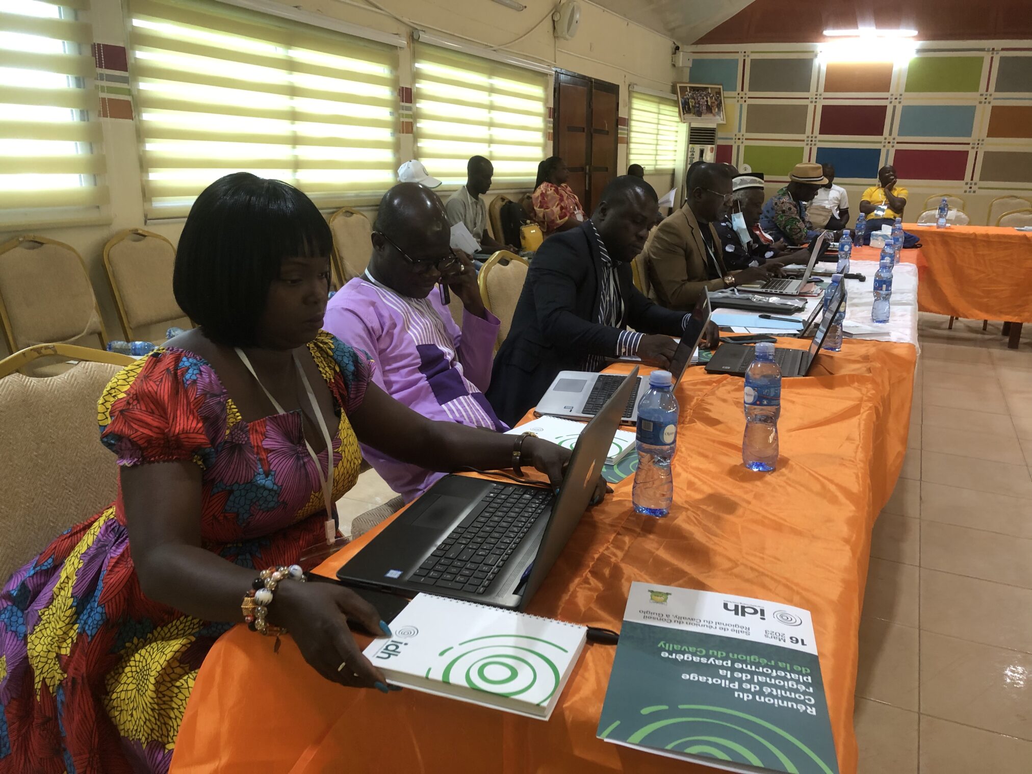Meeting of the Regional Steering Committee for the landscape platform of the Cavally Region