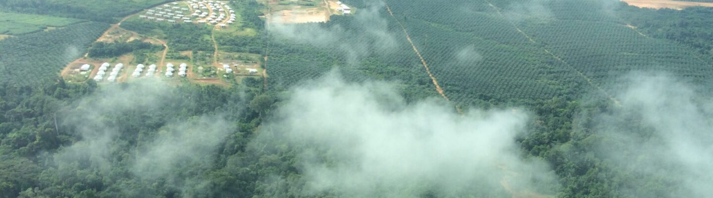 Palm Oil Landscape - Liberia
