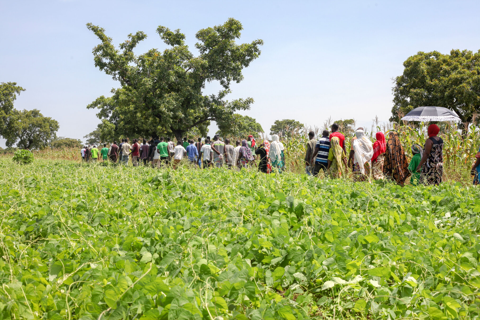 IDH Regenerative Agriculture Field Day Exhibitions IDH the