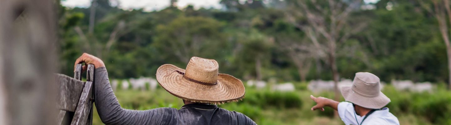 Afbeelding zonder ALT